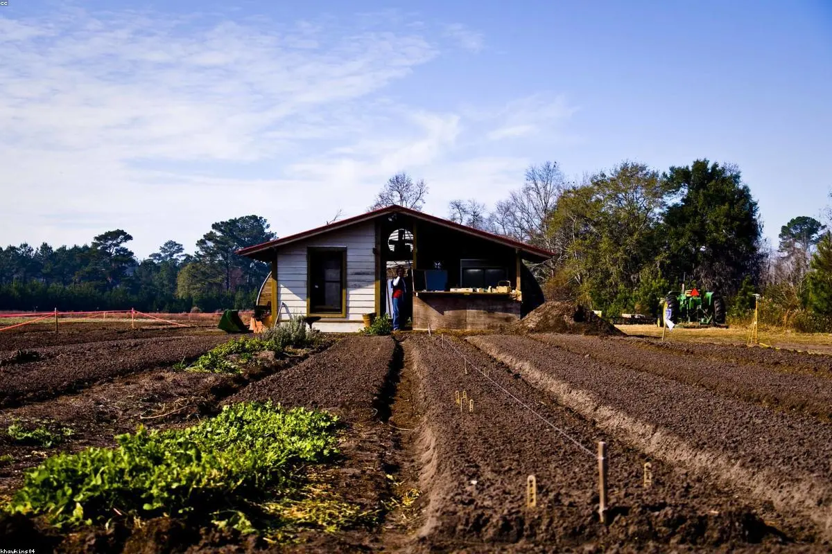 Van Karpuz Bağı