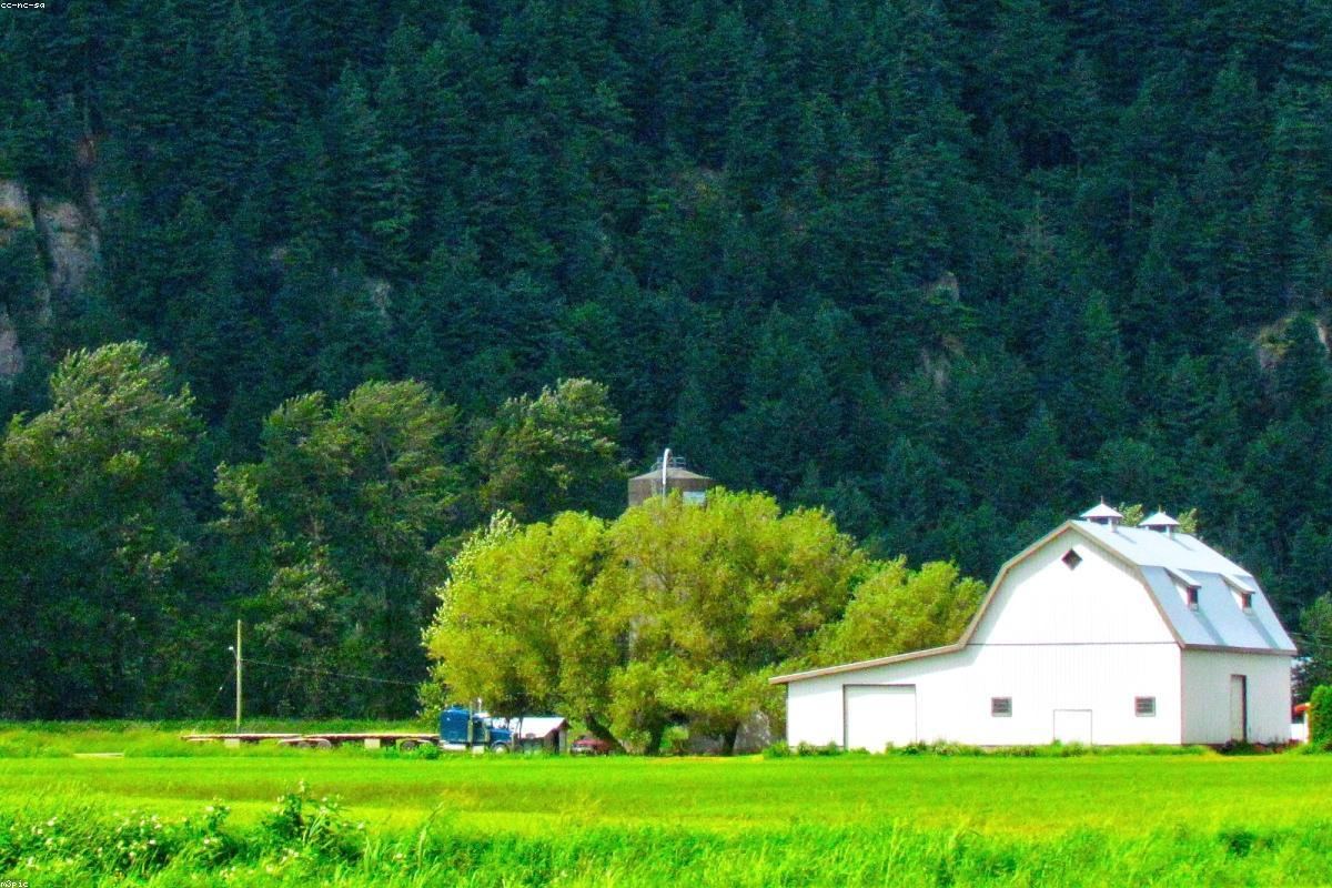 Bolu Biber Tarlası