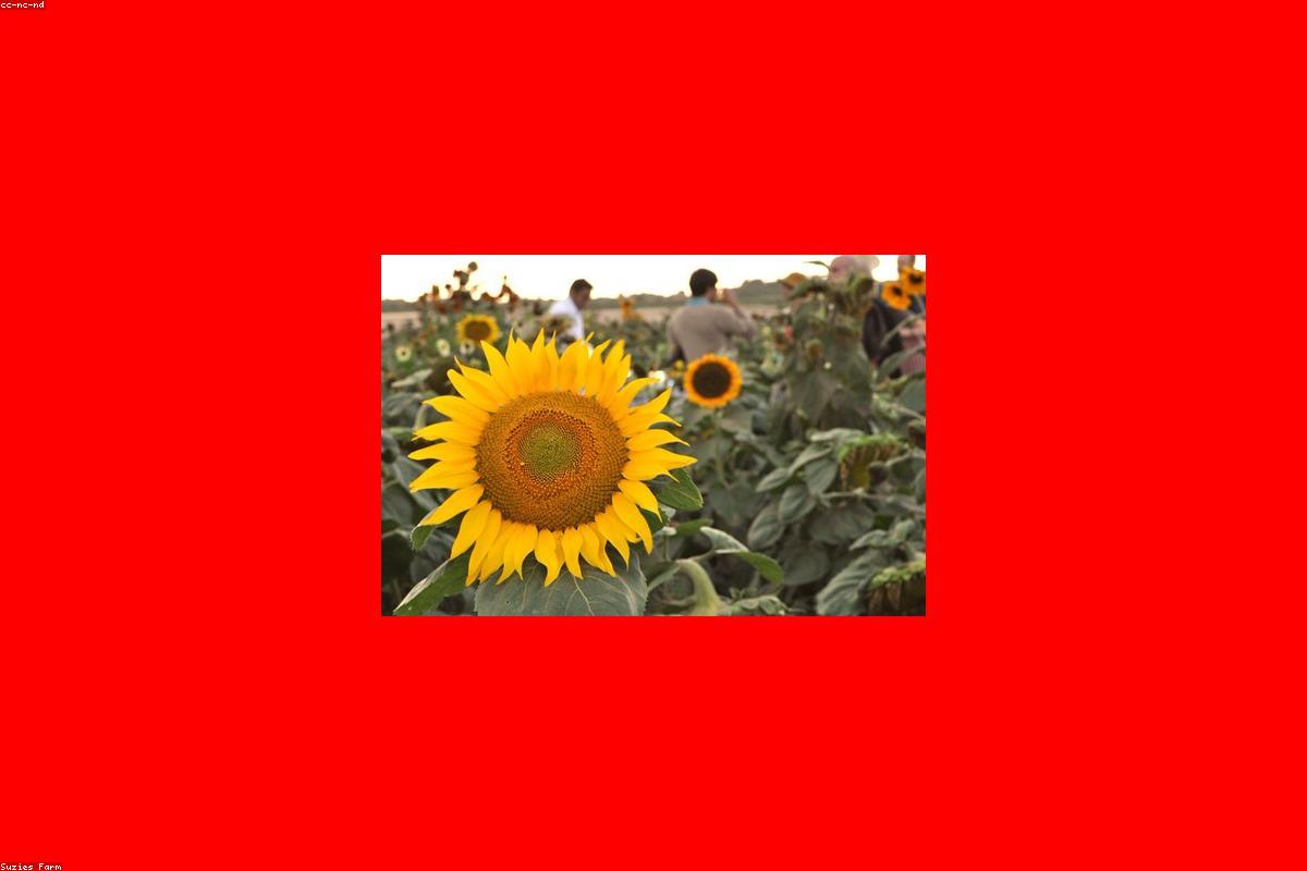 Denizli Karpuz Bağı