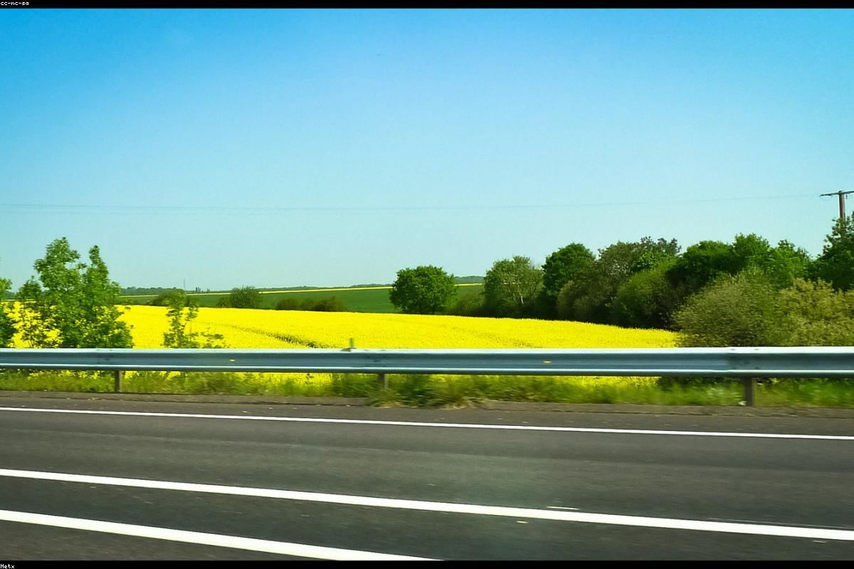 Isparta Biber Tarlası
