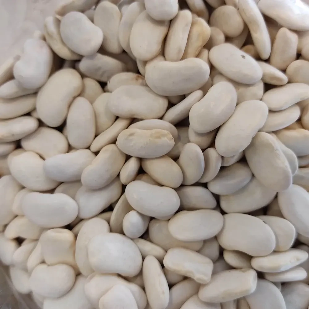 Kuru Fasulye