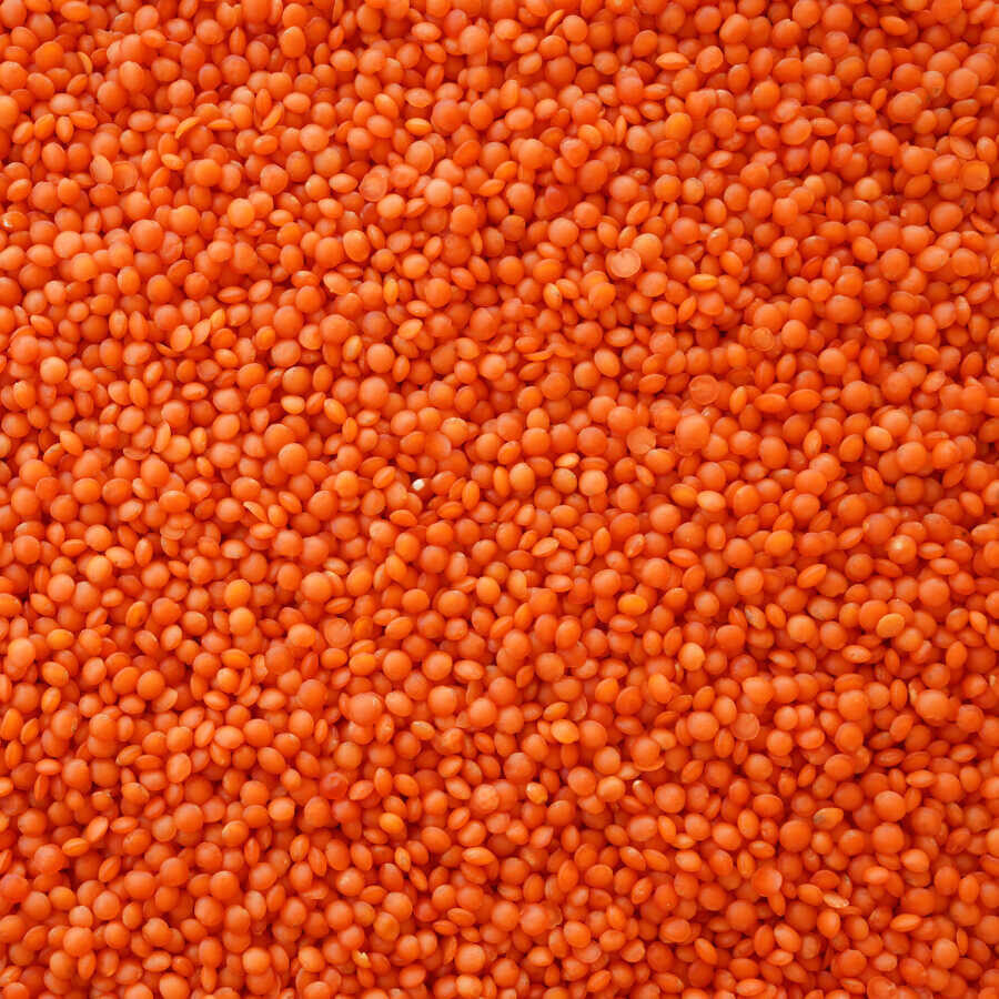 Kırmızı Mercimek