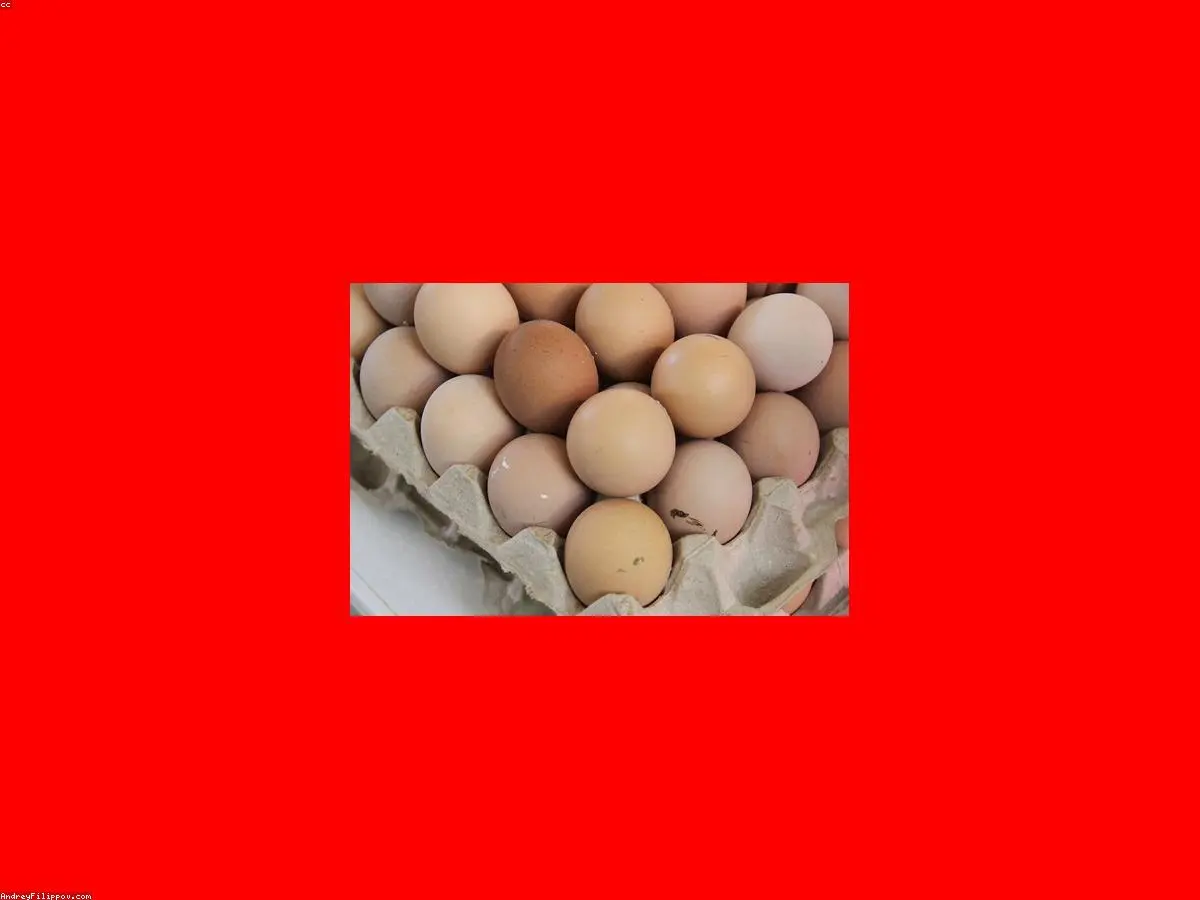Köy Yumurtası